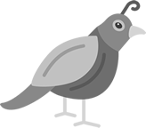 QCarta
